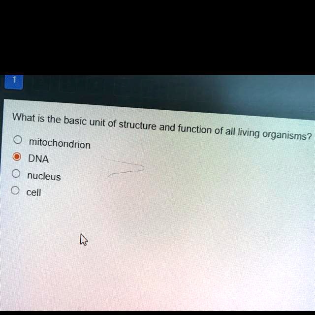 solved-what-is-the-basic-unit-of-structure-and-function-of-all-living