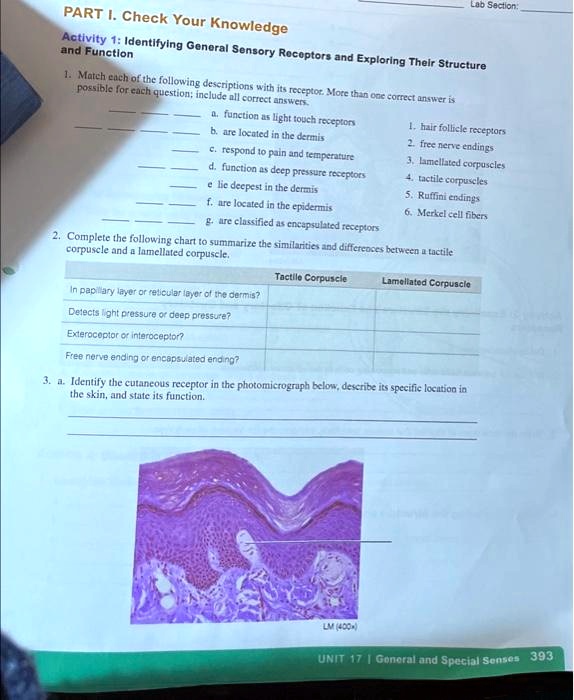 SOLVED: Lab Section PART I. Check Your Knowledge Activity 1 ...