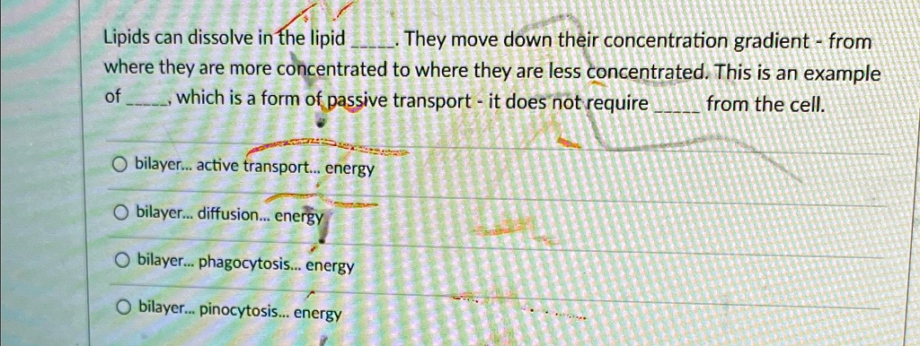SOLVED: Lipids can dissolve in the lipid bilayer. They move down their ...