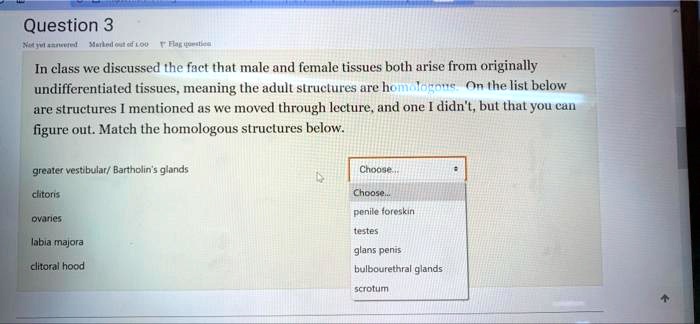 In class we discussed the fact that male and female tissues both arise from originally undifferentiated tissues, meaning the adult structures are homologous. On the list below are structures I mentioned as we moved through lecture, and one I didn't, but that you can figure out. Match the homologous structures below.

greater vestibular/ Bartholin's glands
clitoris
ovaries
labia majora
clitoral hood

penile foreskin
testes
glans penis
bulbourethral glands
scrotum