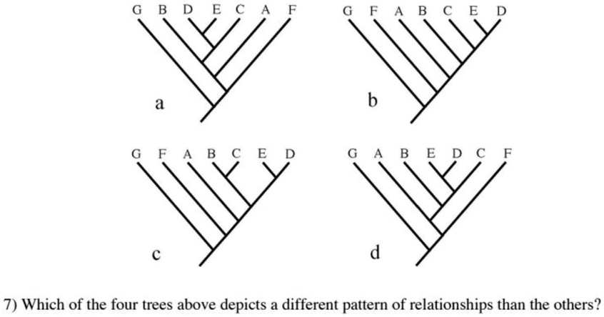 G B D E C A F
a
G F A B C E D
b
G F A B C E D
c
G A B E D C F
d
7) Which of the four trees above depicts a different pattern of relationships than the others?
