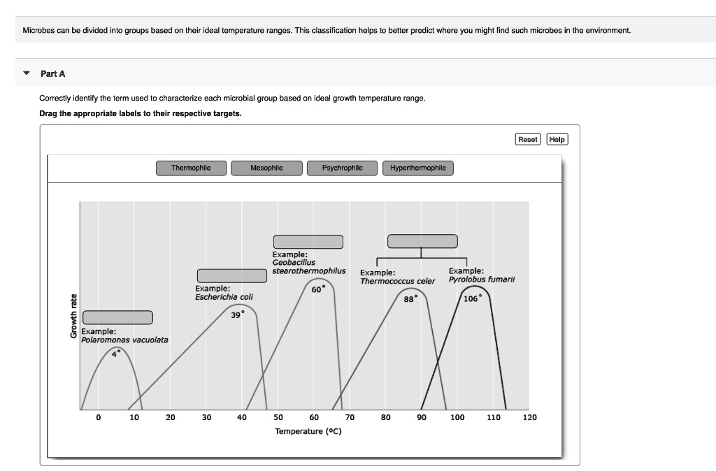 classification of microbes based on temperature