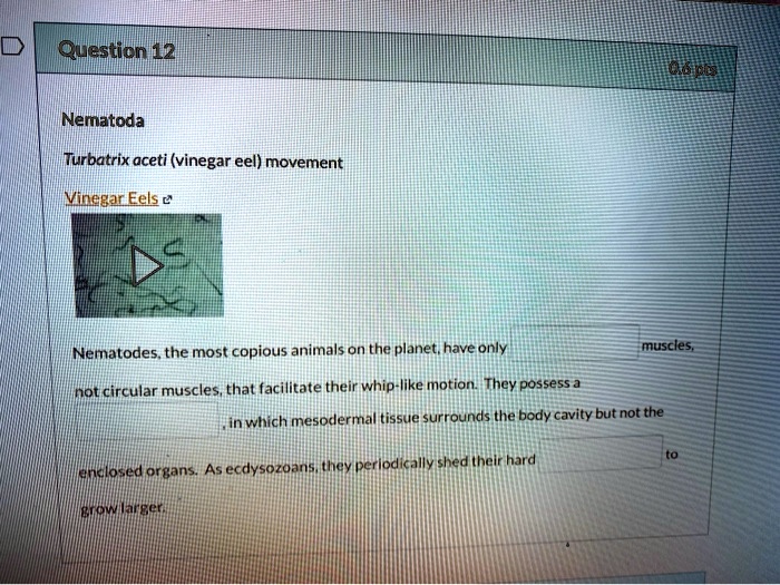 SOLVEDQuestion 12 G310 Nematoda (Turbatrix aceti (vinegar eel) movement Vinegz Eels â‚¬