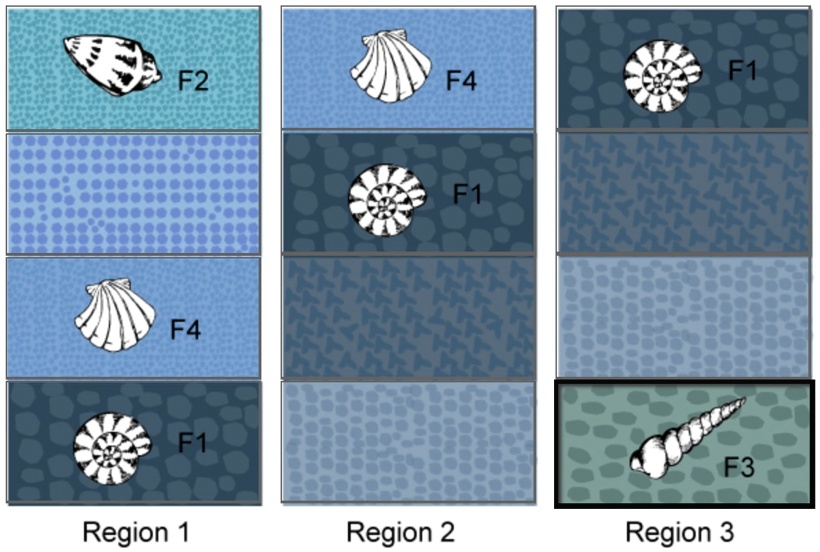 'The image shows core samples of rock strata taken from three different