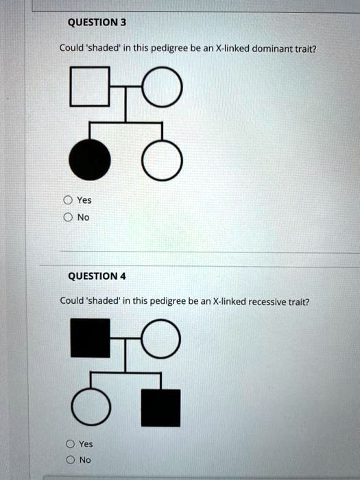 QUESTION 3
Could 'shaded' in this pedigree be an X-linked dominant trait?
Yes
No

QUESTION 4
Could 'shaded' in this pedigree be an X-linked recessive trait?
Yes
No
