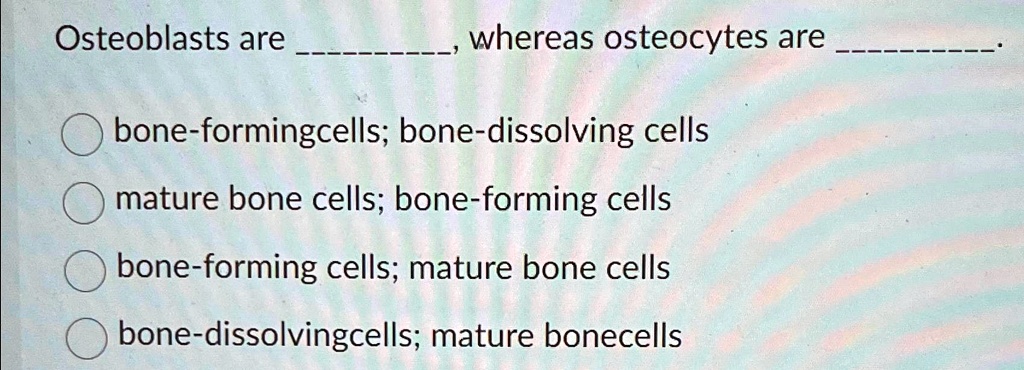 SOLVED: Osteoblasts are whereas osteocytes are bone-forming cells; bone ...
