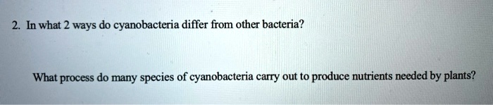 2. In what 2 ways do cyanobacteria differ from other bacteria?

What process do many species of cyanobacteria carry out to produce nutrients needed by plants?