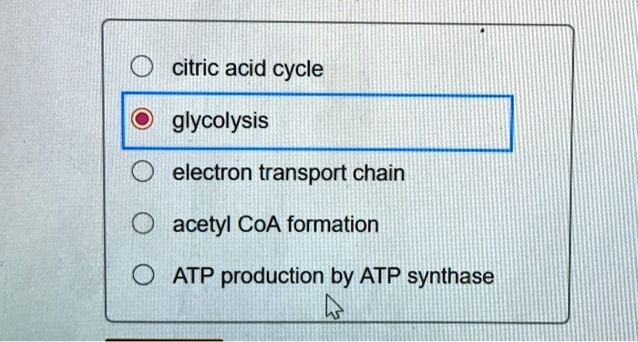 SOLVED: citric acid cycle glycolysis electron transport chain acetyl ...