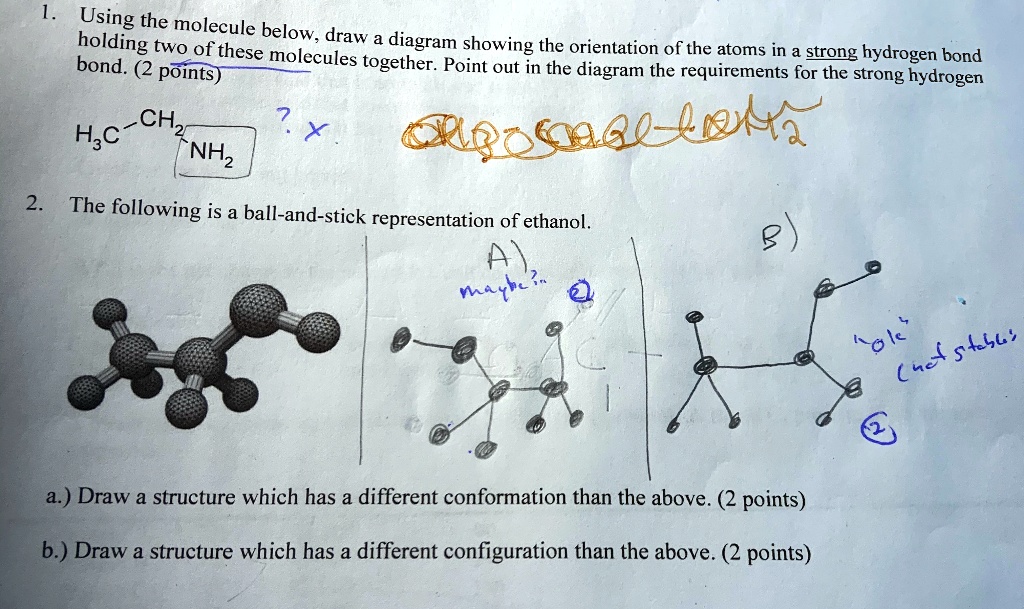 SOLVED: Using the molecule holding below, to draw a diagram of these ...