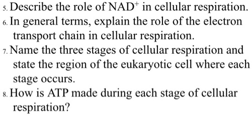 solved-describe-the-role-of-nad-in-cellular-respiration-in-general