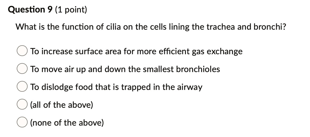 What is the function of cilia on the cells lining the trachea and bronchi?
To increase surface area for more efficient gas exchange
To move air up and down the smallest bronchioles
To dislodge food that is trapped in the airway
(all of the above)
(none of the above)