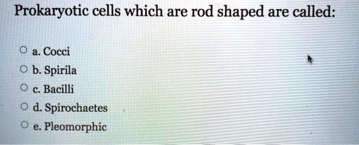 Prokaryotic cells which are rod shaped are called:

a. Cocci
b. Spirila
c. Bacilli
d. Spirochaetes
e. Pleomorphic