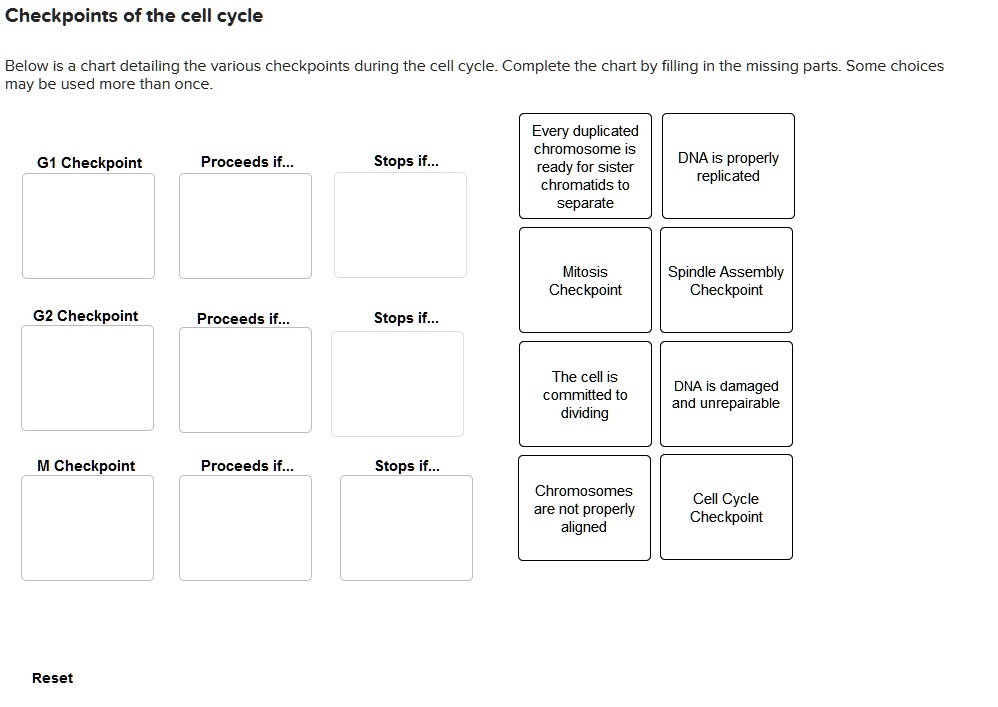 SOLVED Text Checkpoints of the cell cycle Below is a chart detailing
