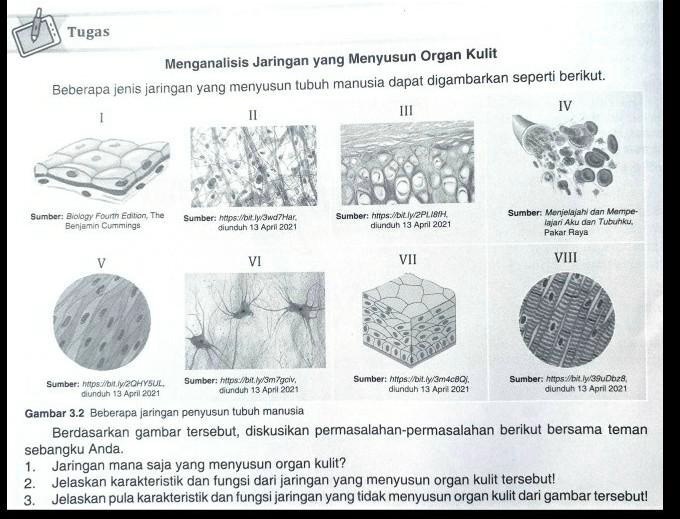 SOLVED: SOAL BIOLOGI KELAS 11 MATERI JARINGAN HEWAN !!!! Tugas ...