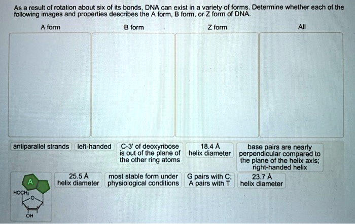 a form b form c form z form