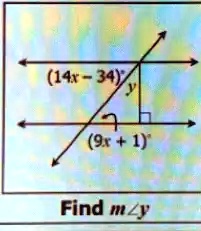 Find m∠ y