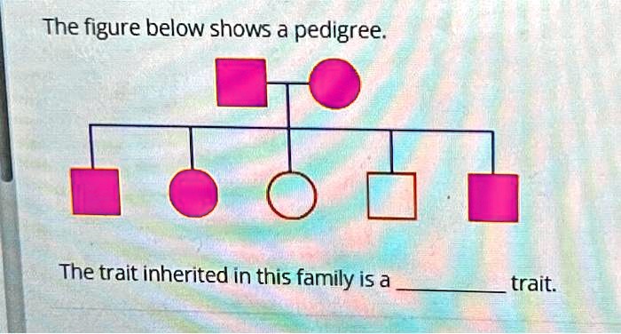 SOLVED: The figure below shows a pedigree. The trait inherited in this ...
