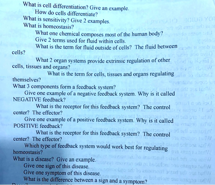 Solved what is cell differentiation give an example how do cells