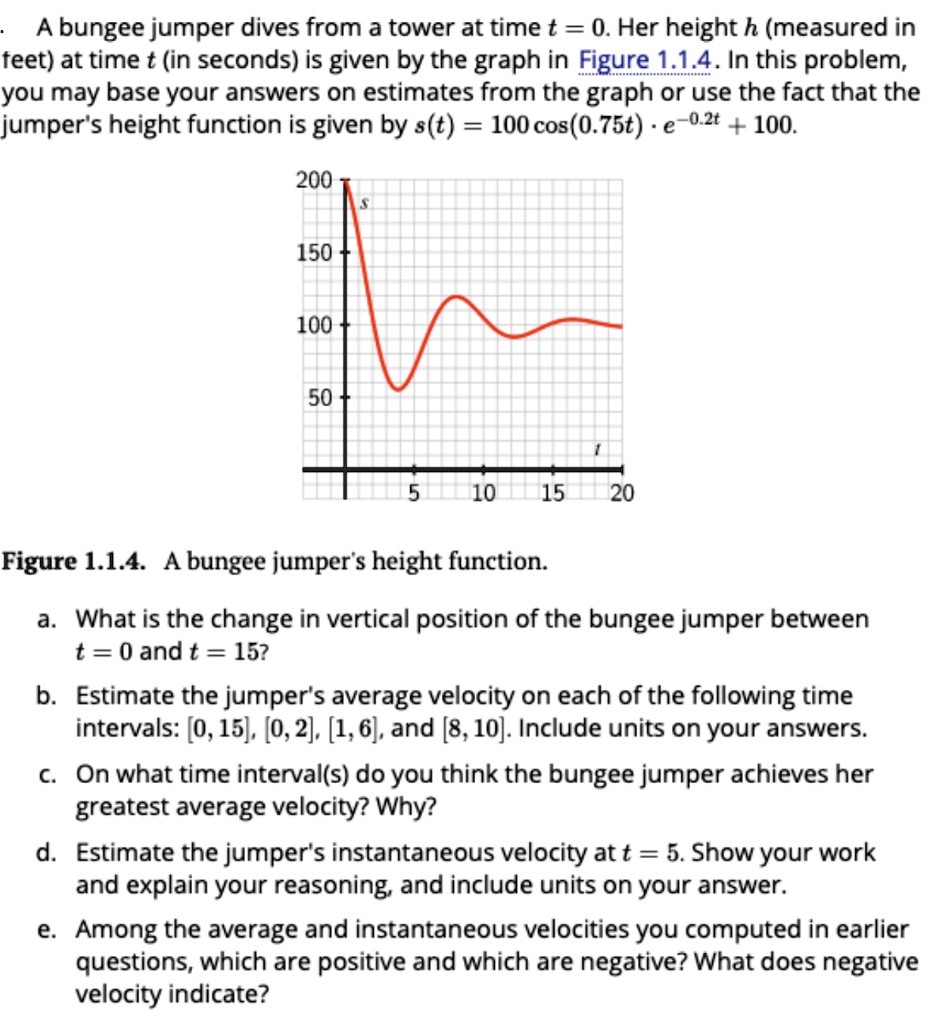 A bungee jumper dives from a tower at time t = 0. Her height h