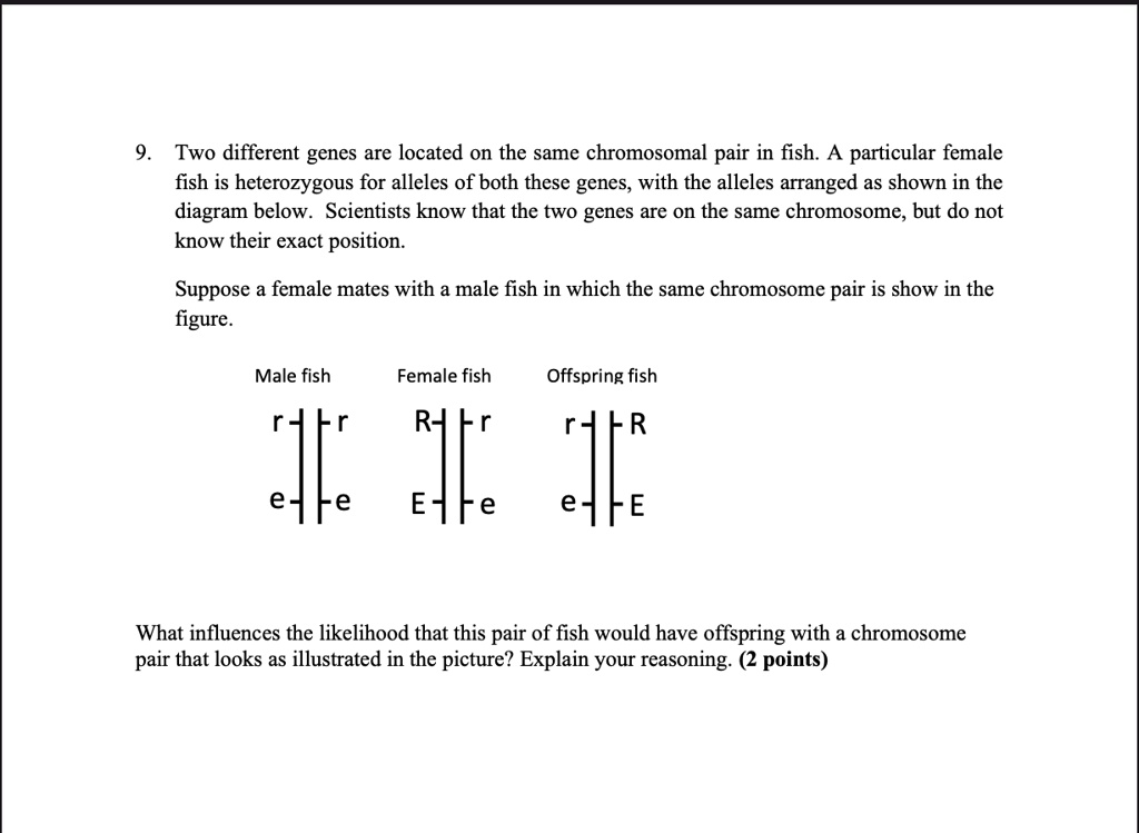 SOLVED: Two different genes are located on the same chromosomal pair in ...