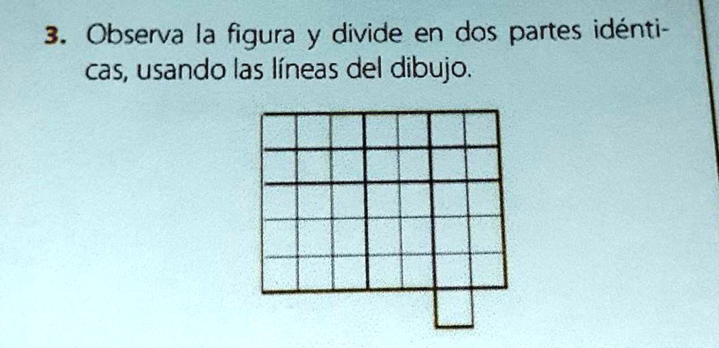 Que Se Divide En Dos Partes