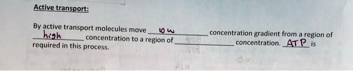 SOLVED: Active transport: By active transport molecules move hogh ...