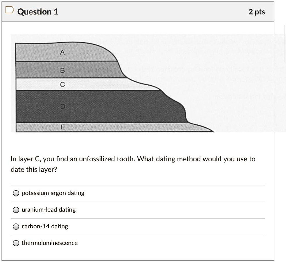 Question 1
2 pts
A
B
C
D
E
In layer C, you find an unfossilized tooth. What dating method would you use to date this layer?
potassium argon dating
uranium-lead dating
carbon-14 dating
thermoluminescence