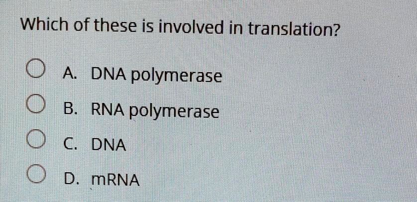 Which of these is involved in translation?
A. DNA polymerase
B. RNA polymerase
C. DNA
D. mRNA