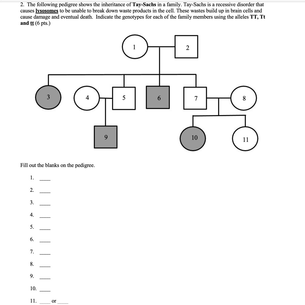 SOLVED: 'The following pedigree shows the inheritance of Tay- Sachs in