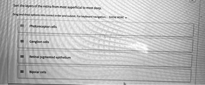 SOLVED: Sort the layers of the retina from most superficial to most ...