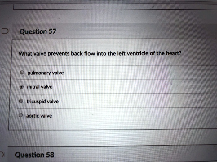 SOLVED Help! Thought it was mitral but it may be aortic? Help