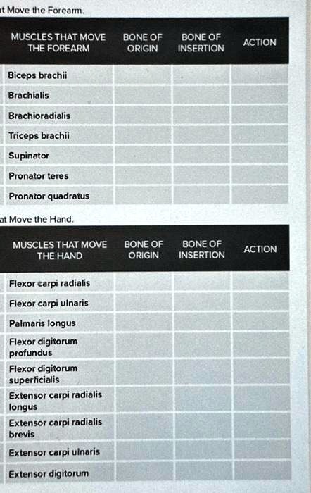 at Move the Forearm. MUSCLES THAT MOVE THE FOREARM BONE OF ORIGIN BONE ...