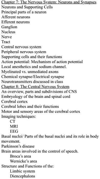 SOLVED: Chapter 7: The Nervous System: Neurons and Synapses Neurons and ...