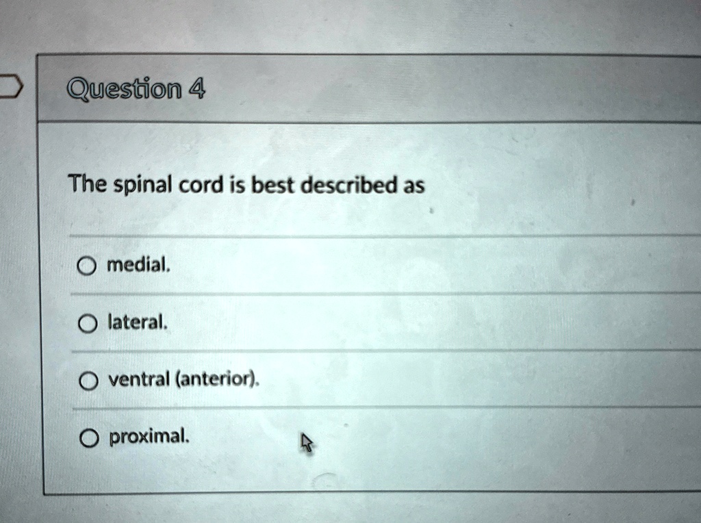 Question 4
The spinal cord is best described as
O medial.
O lateral.
O ventral (anterior).
O proximal.