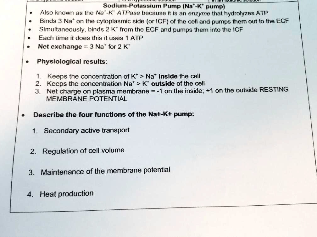 Pumps (Active Transport) — Definition Types Expii, 55 OFF