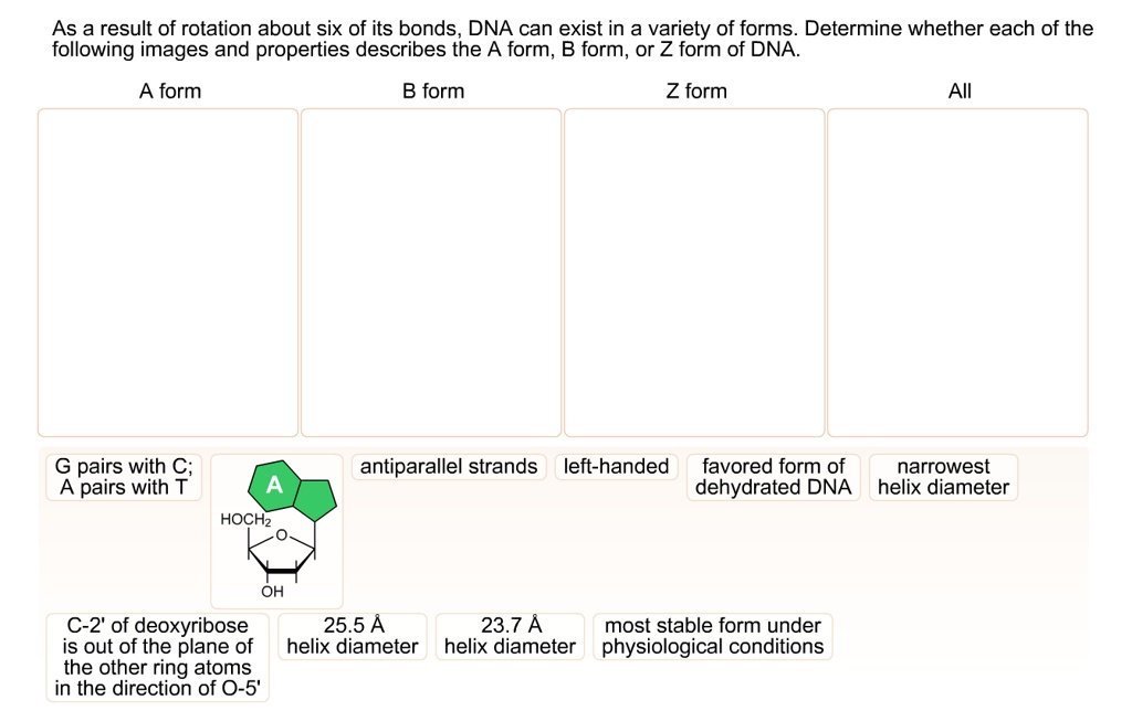 SOLVED: As A Result Of Rotation About Six Of Its Bonds, DNA Can Exist ...