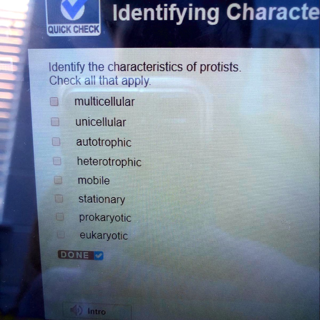 solved-identify-the-characteristics-of-protists-identifying-characte