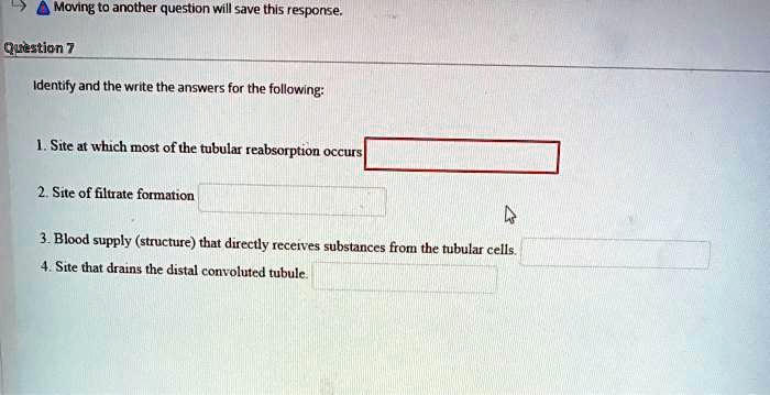 Solved:moving To Another Question Will Save This Response Question Identify  And The Write The Answers For The Following: Sitc At Which Most Of The Tubular  Reabsorption Occurs Site Of Filtrate Formation Blood Solved:moving To Another Question Will Save This Response Question Identify  And The Write The Answers For The Following: Sitc At Which Most Of The Tubular  Reabsorption Occurs Site Of Filtrate Formation Blood