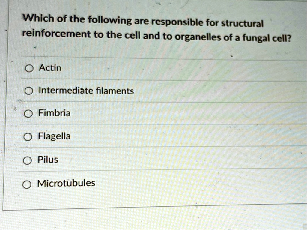 which of the following are responsible for structural reinforcement to the cell and to organelles of a fungal cell actin intermediate filaments fimbria flagella pilus microtubules 12547