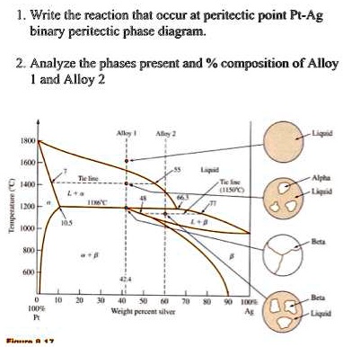 SOLVED: Write the reaction that occurs at the peritectic point in the ...