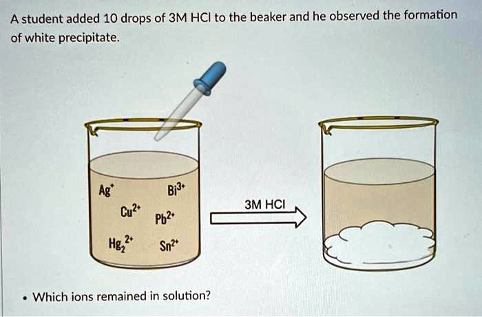 SOLVED: A student added 10 drops of 3M HCl to the beaker and observed ...