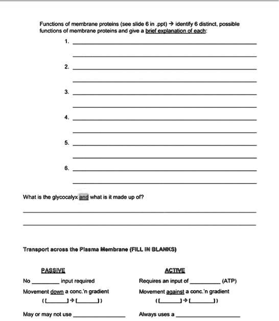 select the functions of proteins in the plasma membrane multiple select question