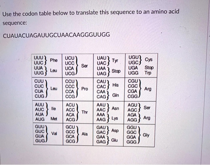 SOLVED: Use the codon table below to translate this sequence to an ...