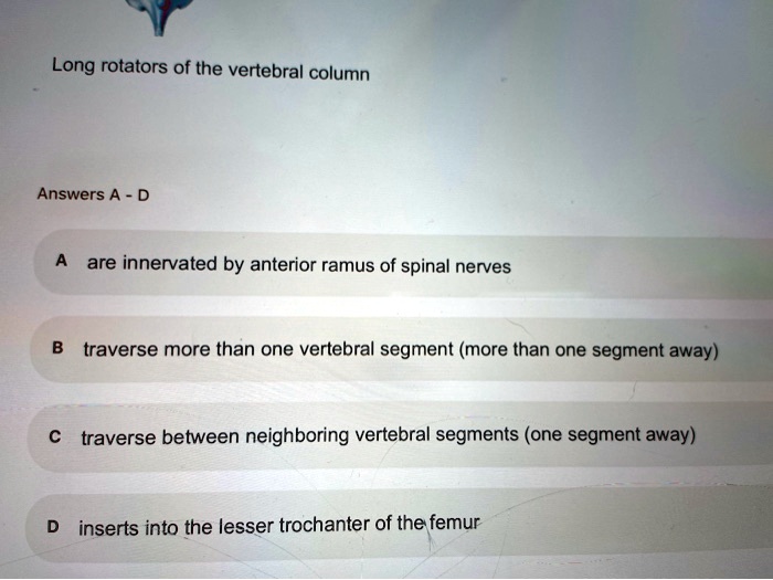 Long rotators of the vertebral column Answers A - D A are innervated by ...