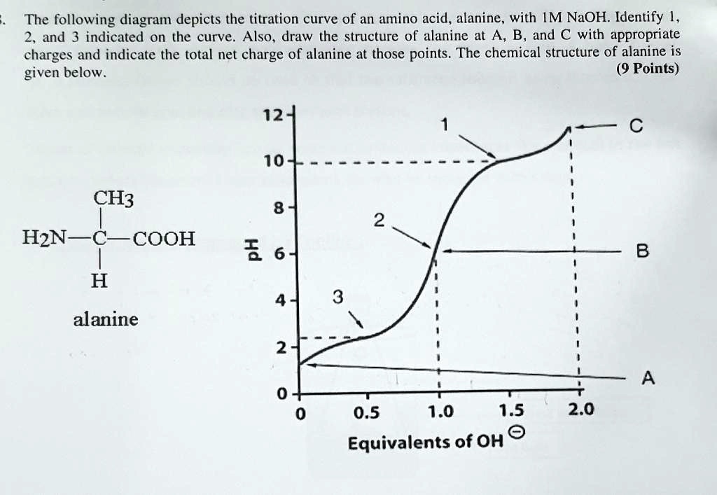 SOLVED The following diagram depicts the titration curve of an amino acid, alanine, with 1M