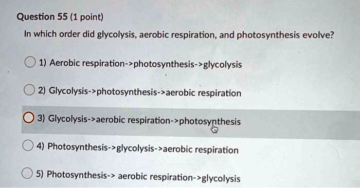 photosynthesis aerobic respiration