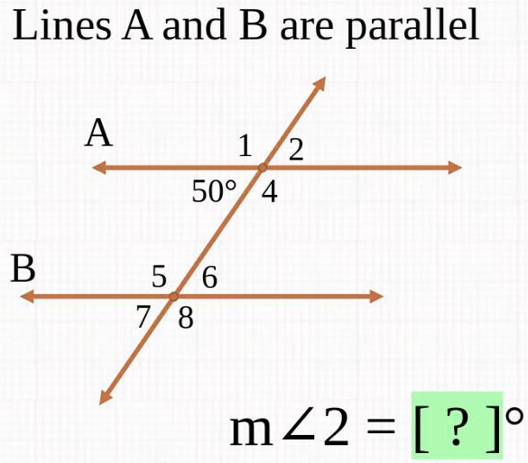 Lines A and B are parallel
A
1 2
50° 4
B
5 6
7 8
m?2 = [ ? ]°