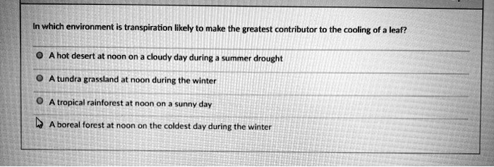 In which environment is transpiration likely to make the greatest contributor to the cooling of a leaf?

A hot desert at noon on a cloudy day during a summer drought

A tundra grassland at noon during the winter

A tropical rainforest at noon on a sunny day

A boreal forest at noon on the coldest day during the winter