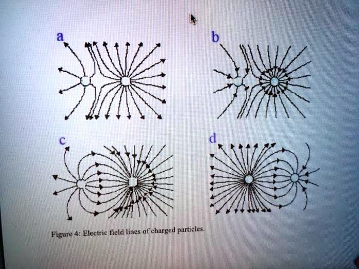 SOLVED: Figure 4: Electric field lines of charged particles.