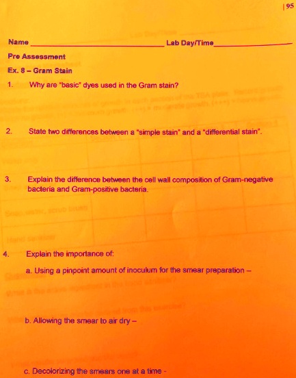 SOLVED: Name Day/Time Pre-Assessment Gram Stain: Why are 